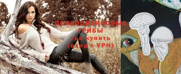 кокс Аркадак