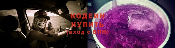 дурь Арсеньев