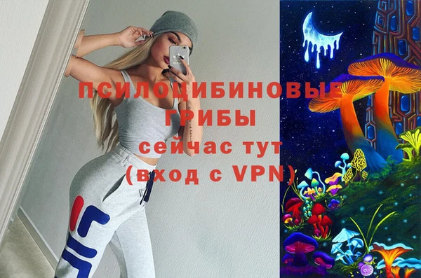 кокс Аркадак